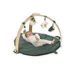 30637 baby play mat with gym